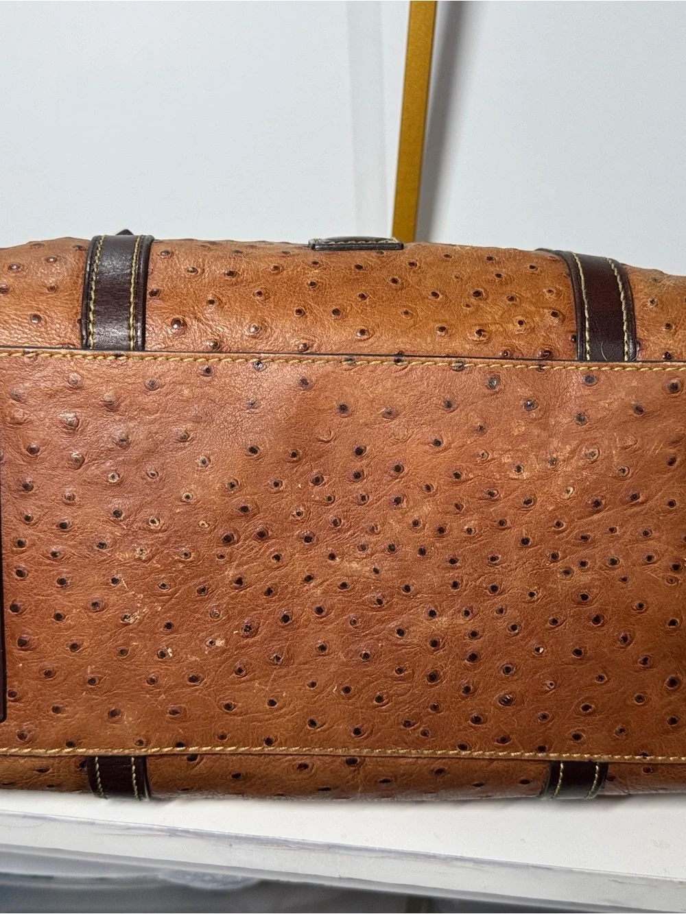 Dooney & Bourke Tan Ostrich-Style Satchel with Dark Brown Trim